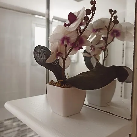 Apto Centrico Industrias Vut 47-215 Valladolid