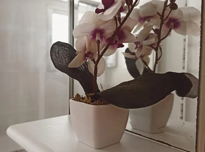 Apto Céntrico Industrias Vut 47-215 Valladolid